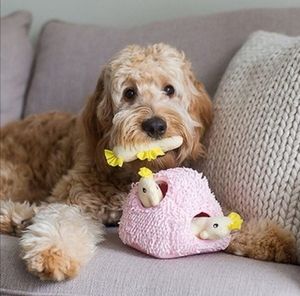 Meet your Posher, Juvy